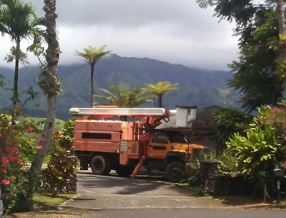 Affordable residential landscaping for beautiful yards across Kapaa, HI - Villa Tree Trimming