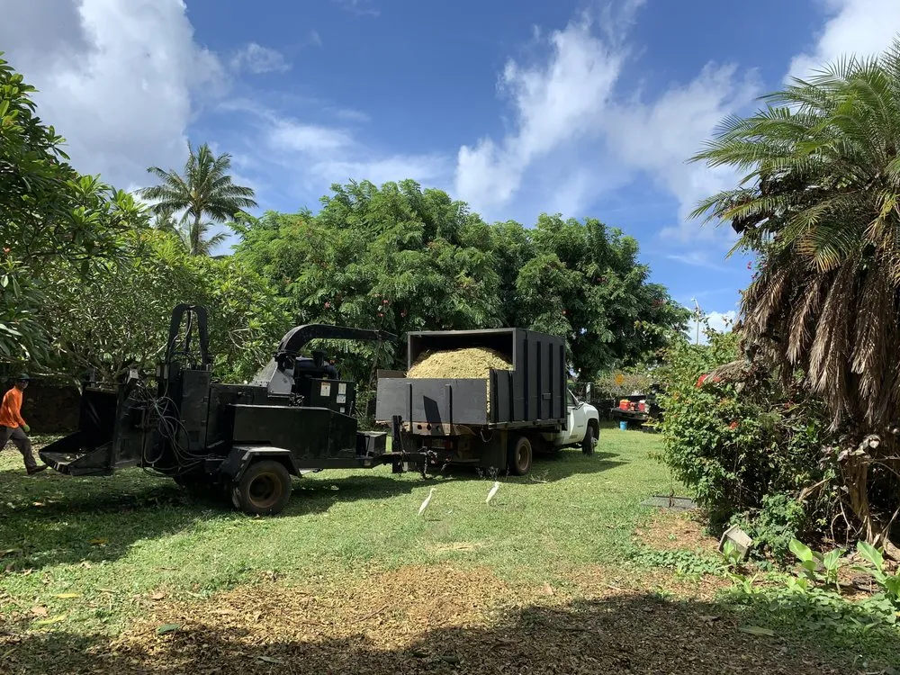 Expert garden landscaping experts serving Kapaa, HI - Villa Tree Trimming