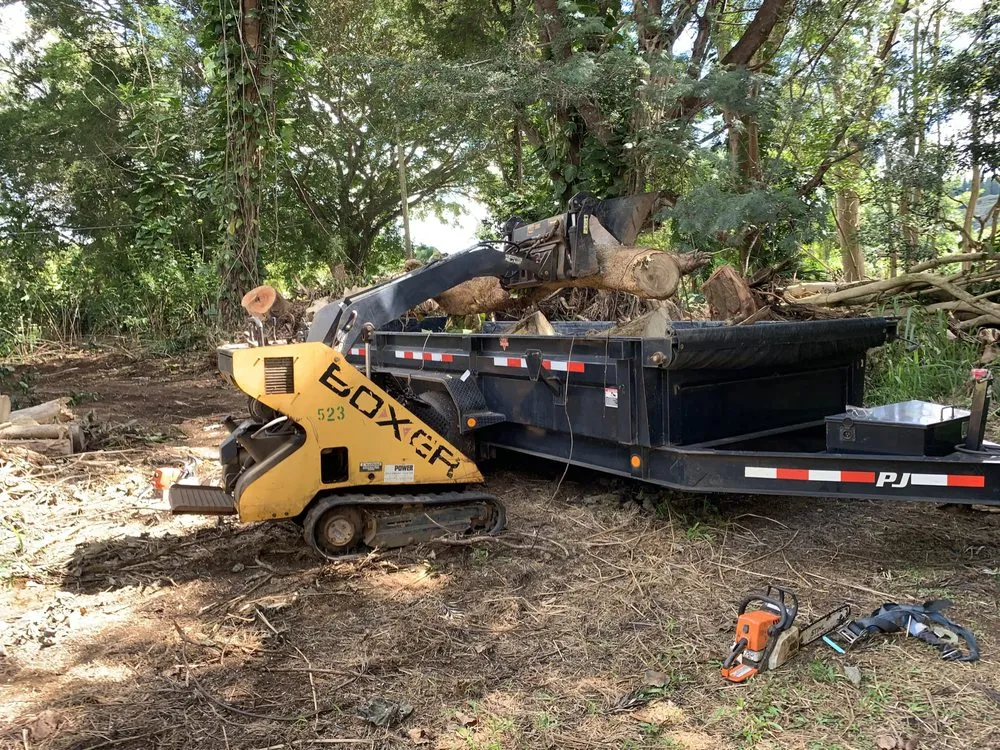 Local residential landscaping in Kapaa, HI - Villa Tree Trimming