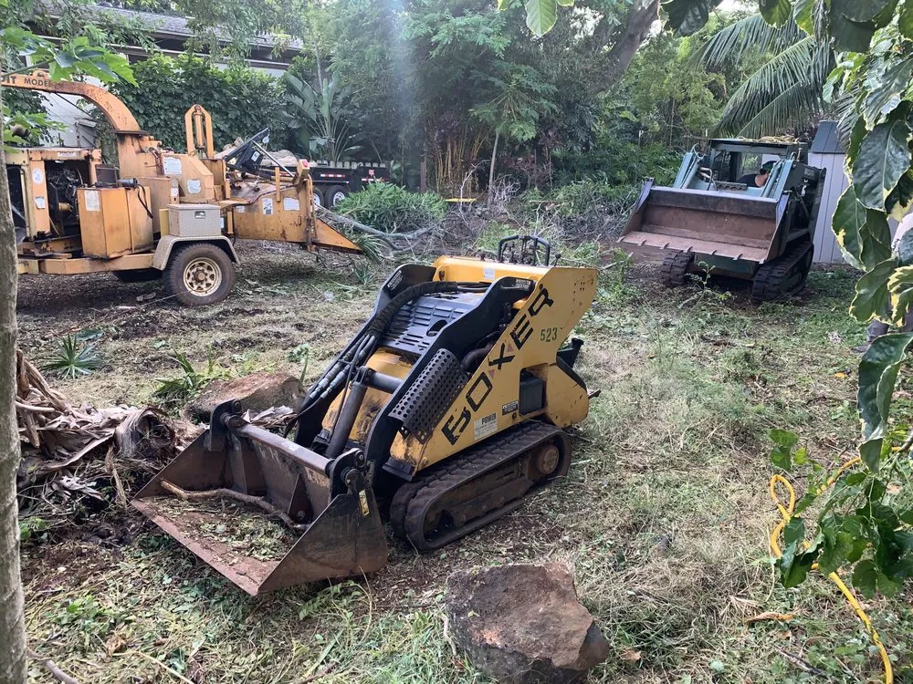 Professional yard cleanup service for outdoor upgrades across Kapaa, HI - Villa Tree Trimming