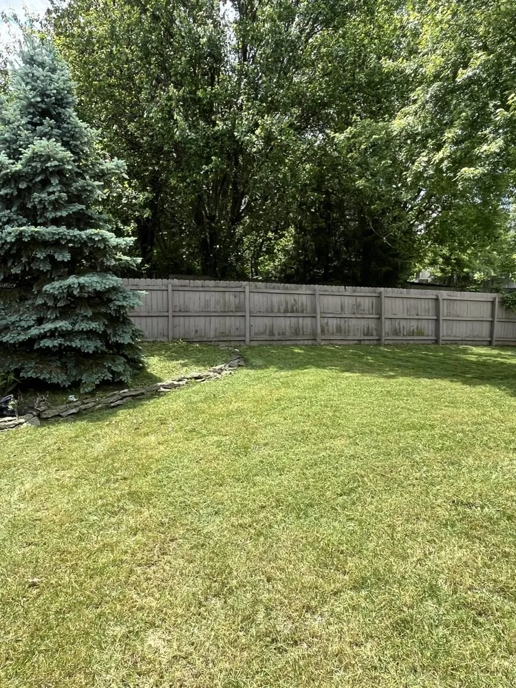 Professional lawn care service experts serving Columbus, OH - Village Boy Lawn Care