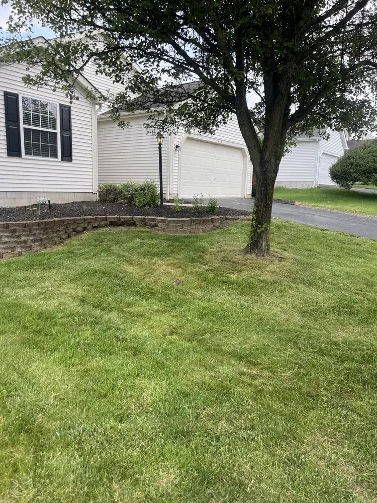 Affordable lawn mowing service in Columbus, OH - Village Boy Lawn Care