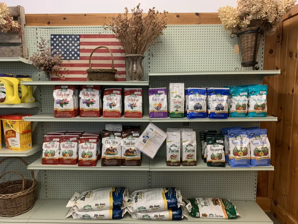 Affordable outdoor landscaping for outdoor upgrades across Mendon, NY - Village Garden Store