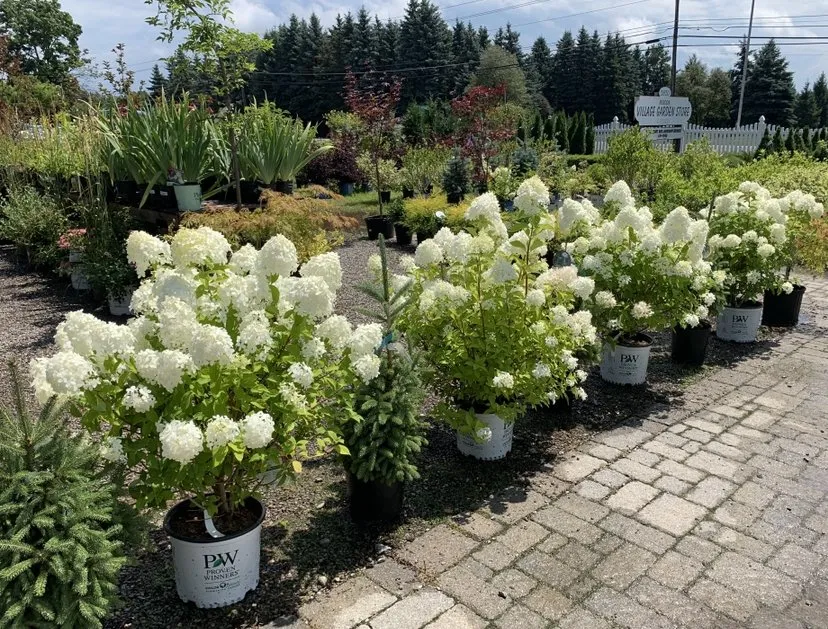 Professional residential landscaping in Mendon, NY by Village Garden Store