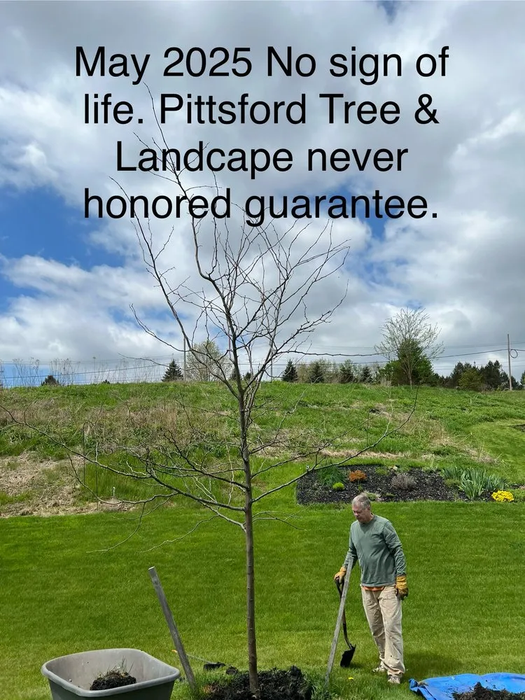 Custom lawn mowing service with custom design in Mendon, NY by Village Garden Store