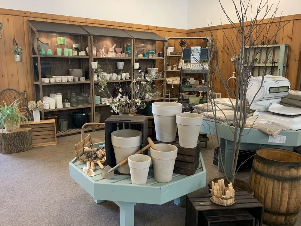 Expert yard cleanup service in Mendon, NY by Village Garden Store