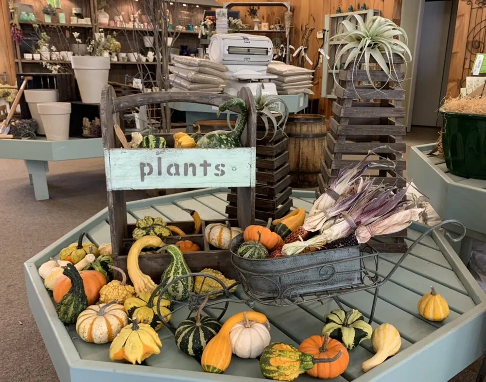 Top-rated yard cleanup service for residential properties in Mendon, NY by Village Garden Store