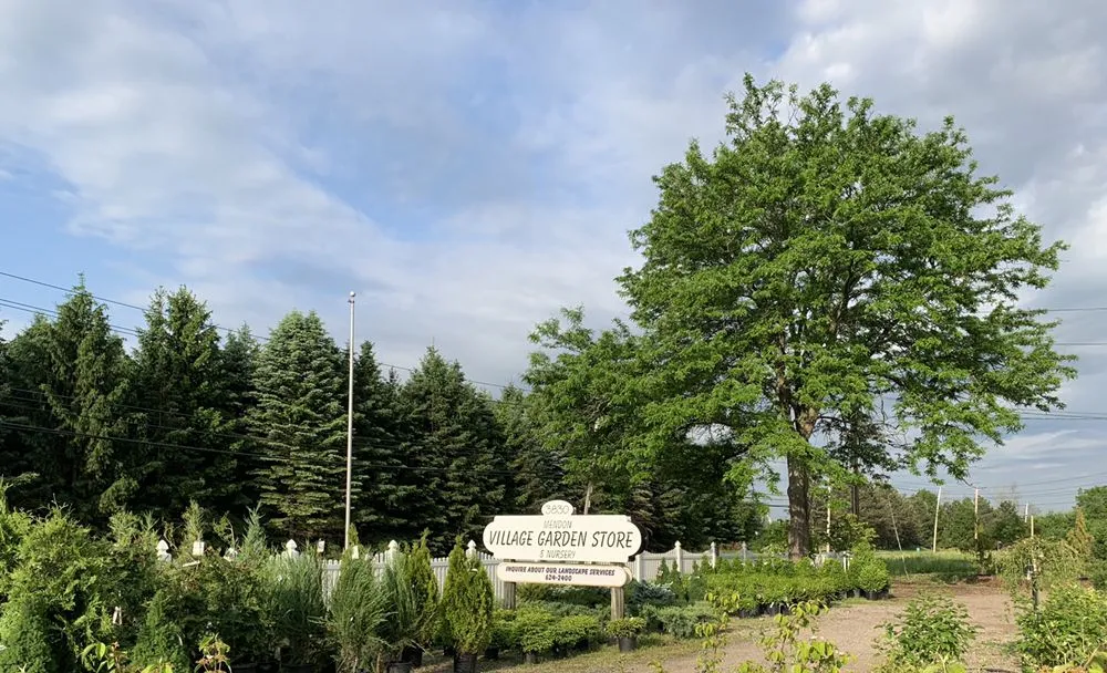Custom garden landscaping experts serving Mendon, NY - Village Garden Store