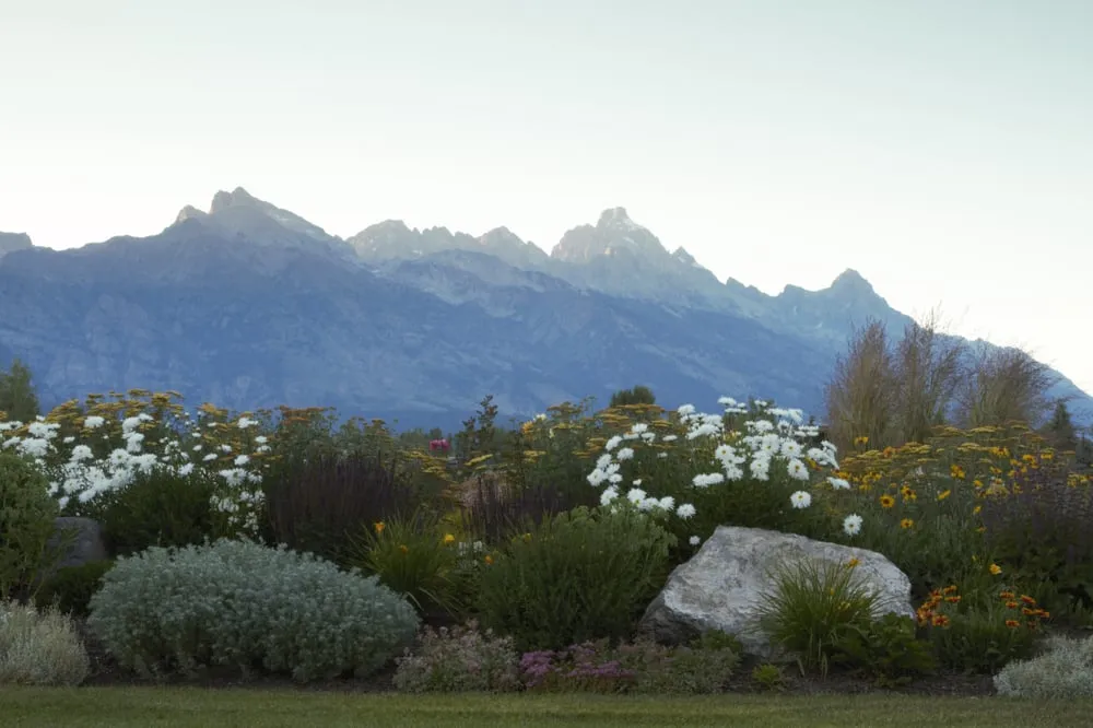 Professional yard maintenance for beautiful yards in Jackson, WY by Village Gardener