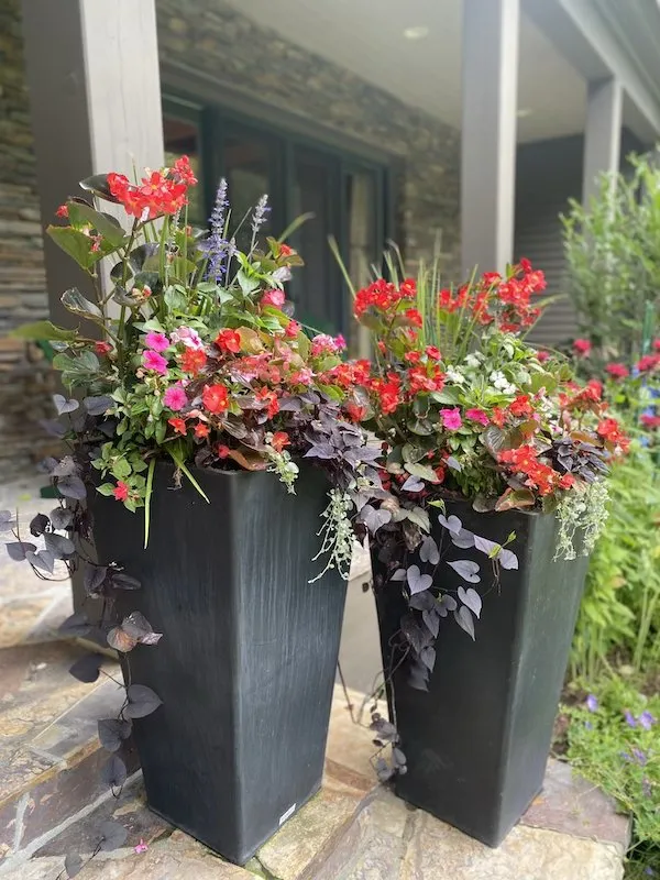 Local landscape installation for year-round maintenance across Jackson, WY - Village Gardener