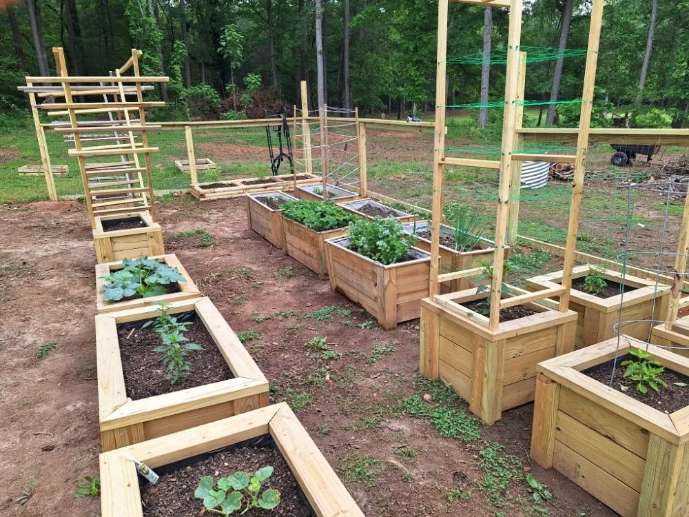 Trusted yard cleanup service with custom design across McDonough, GA - Village Gardens