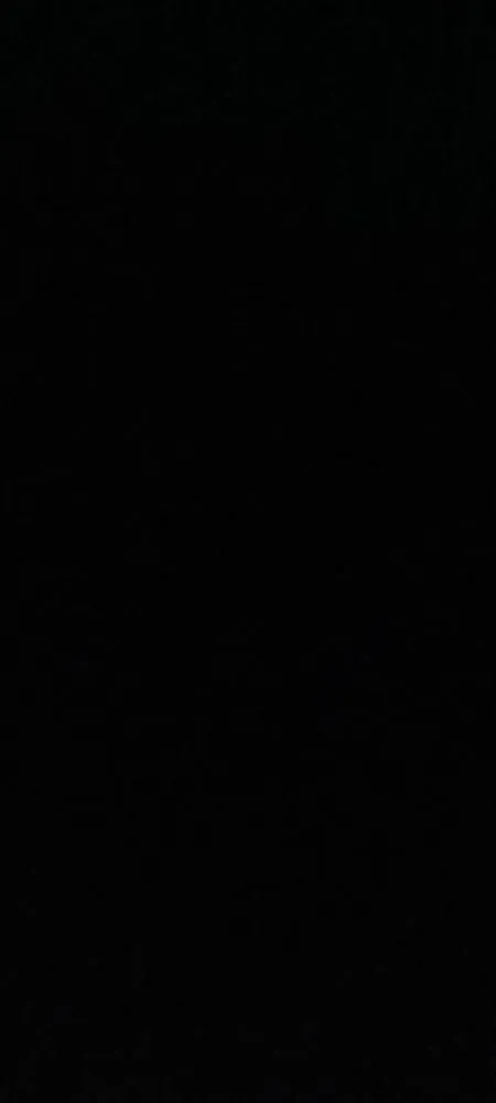 Local residential landscaping for residential properties in Saint Paul, MN by Village Green Landscapes