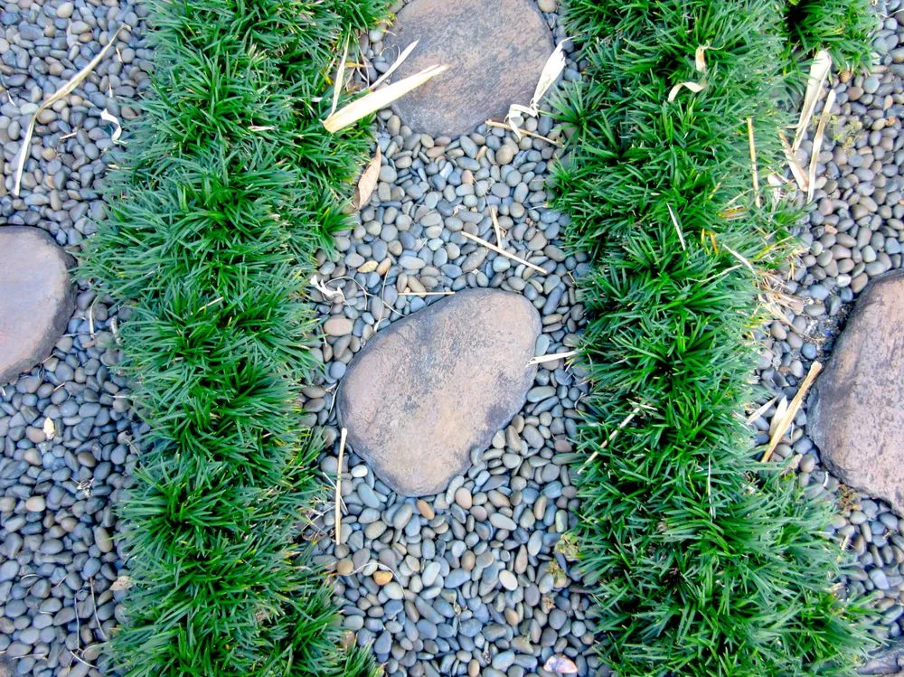 Trusted residential landscaping in Ocean City, MD by Village Greens Landscaping