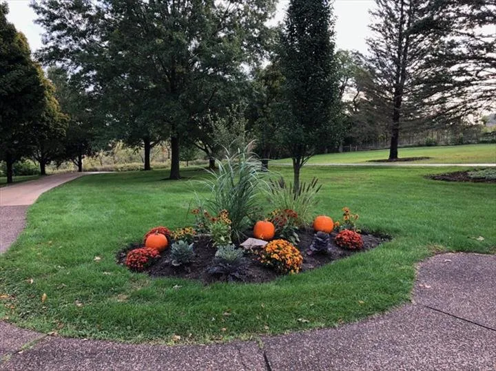 Top-rated lawn care service in Galena, IL by Village Lawn Care