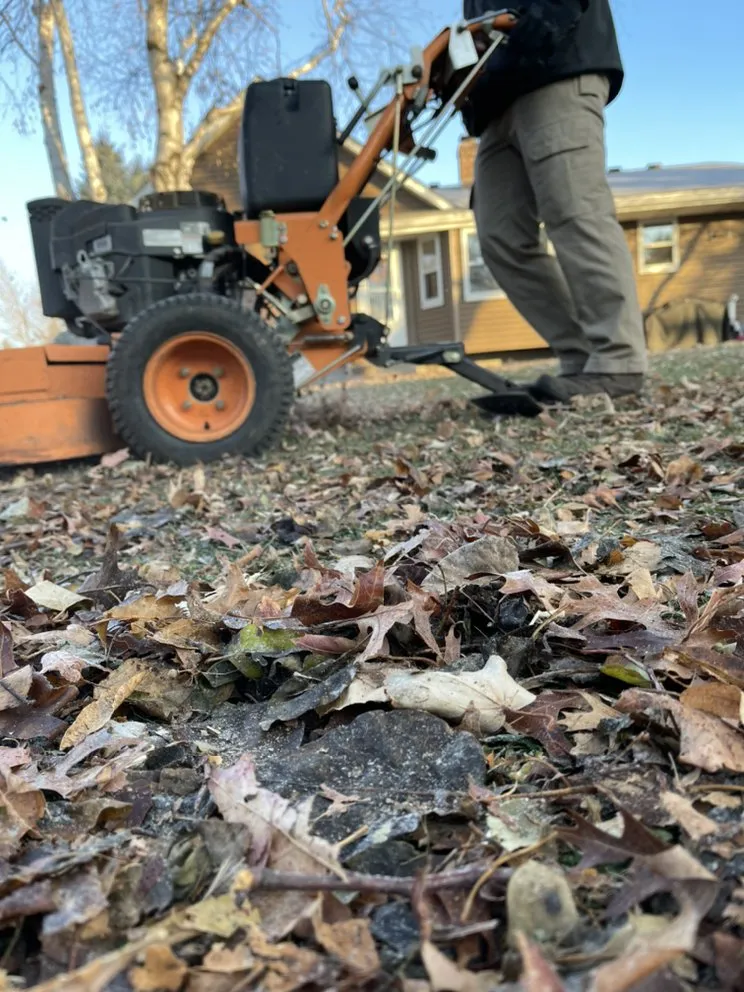 Custom yard cleanup service in Saint Paul, MN - Village Lawn Service