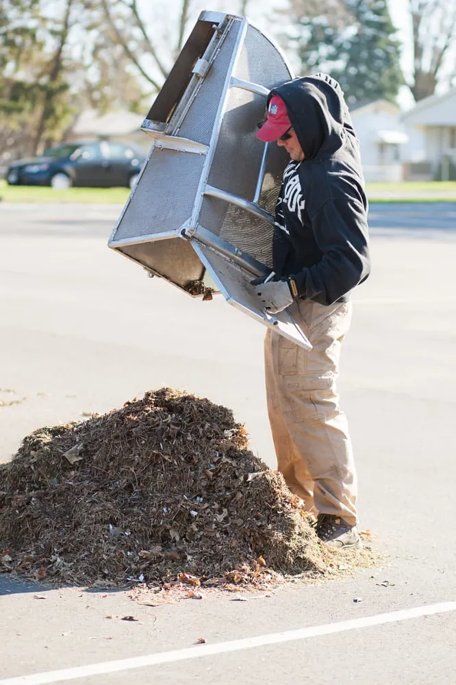 Professional outdoor landscaping in Saint Paul, MN by Village Lawn Service