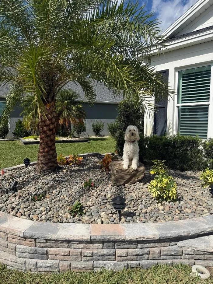 Affordable yard maintenance experts serving Lady Lake, FL - Village Palms Landscaping