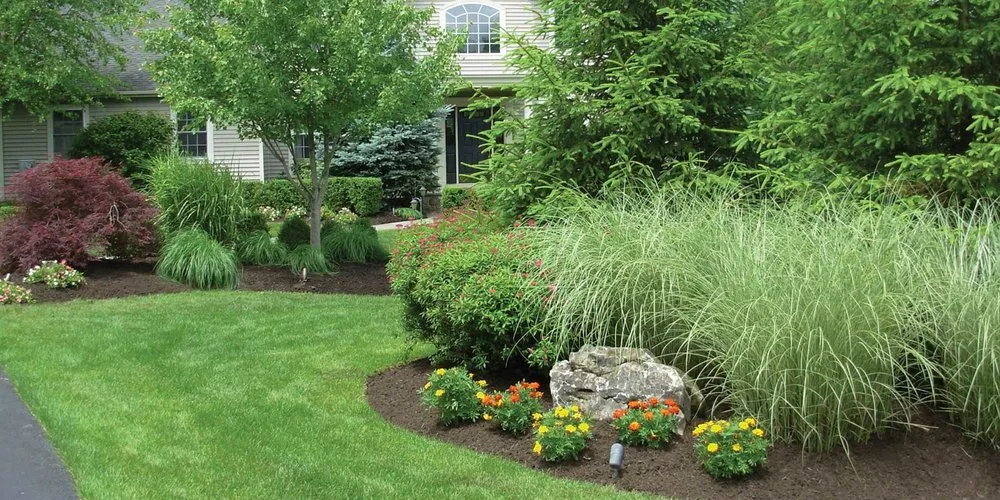 Reliable landscaping services experts serving Kihei, HI - Villalobos Landscape Service