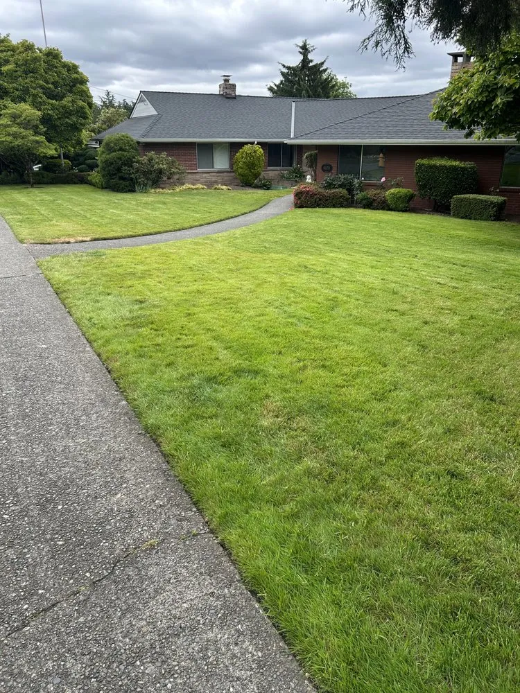 Custom outdoor landscaping experts serving Kent, WA - Villalobos Lawn Care