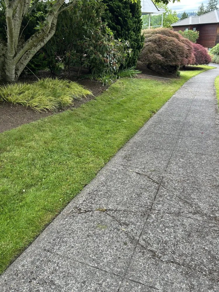 Top-rated lawn care service experts serving Kent, WA - Villalobos Lawn Care