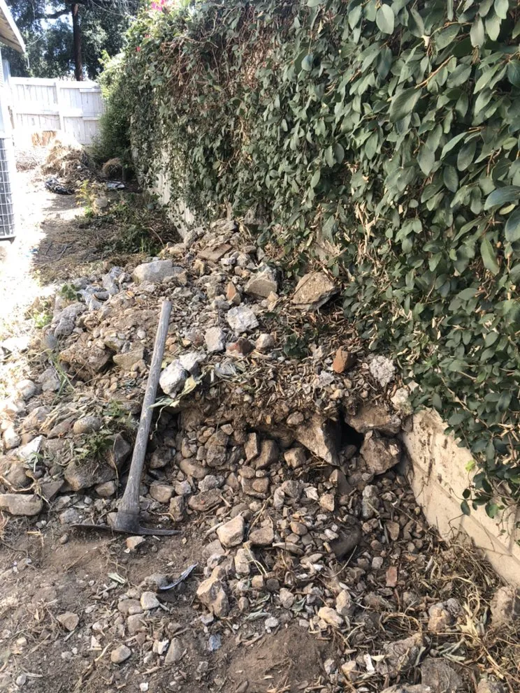 Reliable yard maintenance experts serving Pasadena, CA - Villalon Garden Service and Care