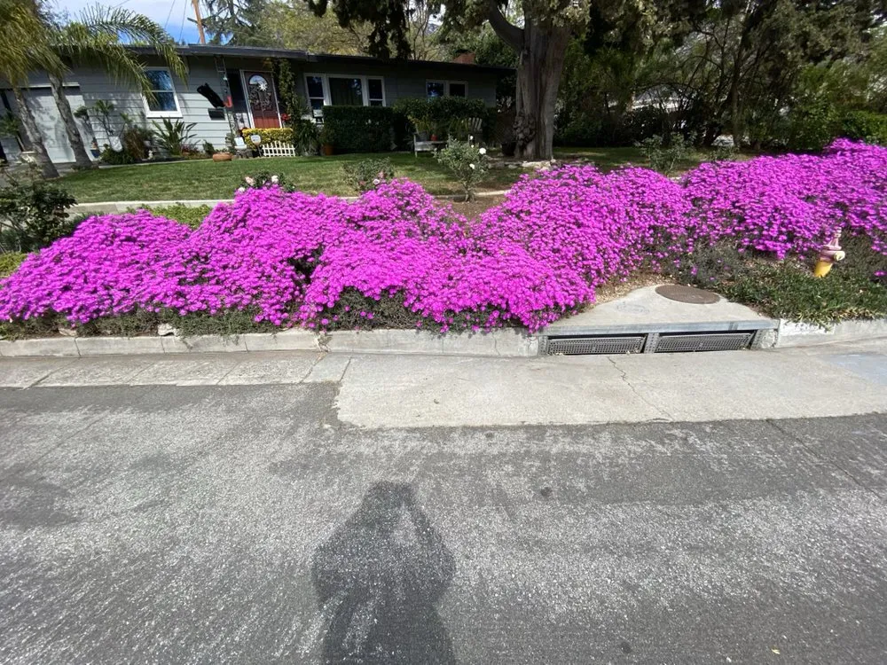 Affordable landscaping services in Pasadena, CA - Villalon Garden Service and Care