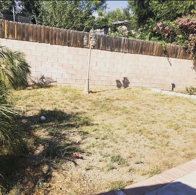 Expert yard cleanup service experts serving Pasadena, CA - Villalon Garden Service and Care