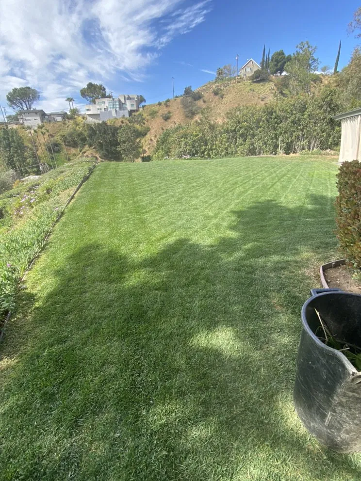 Expert lawn care service in Pasadena, CA - Villalon Garden Service and Care