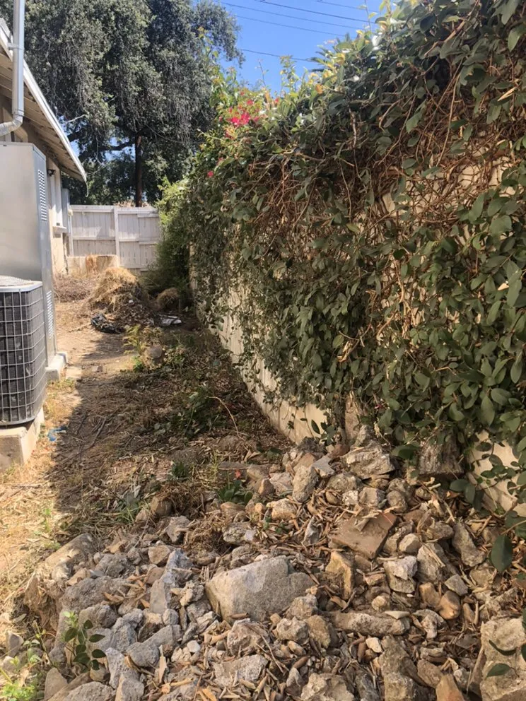 Top-rated lawn care service for homes in Pasadena, CA by Villalon Garden Service and Care