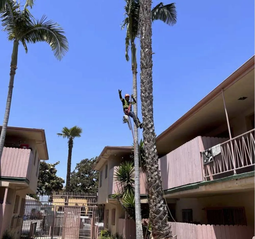 Top-rated garden landscaping in Los Angeles, CA by Villalpando Landscaping