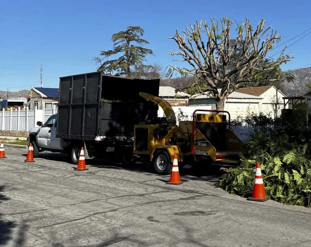 Reliable outdoor landscaping in Los Angeles, CA - Villalpando Landscaping