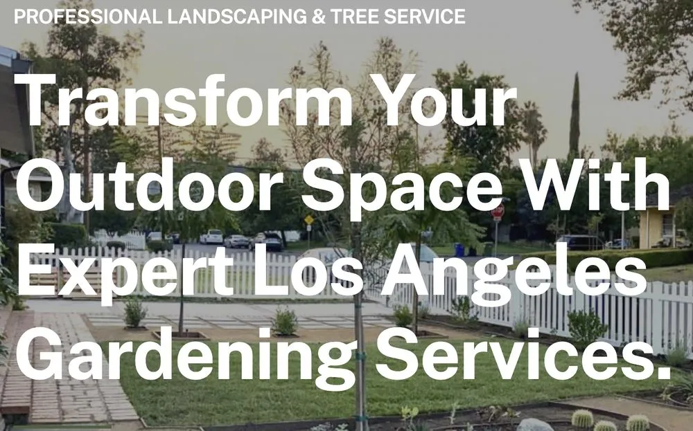 Affordable yard cleanup service in Los Angeles, CA by Villalpando Landscaping