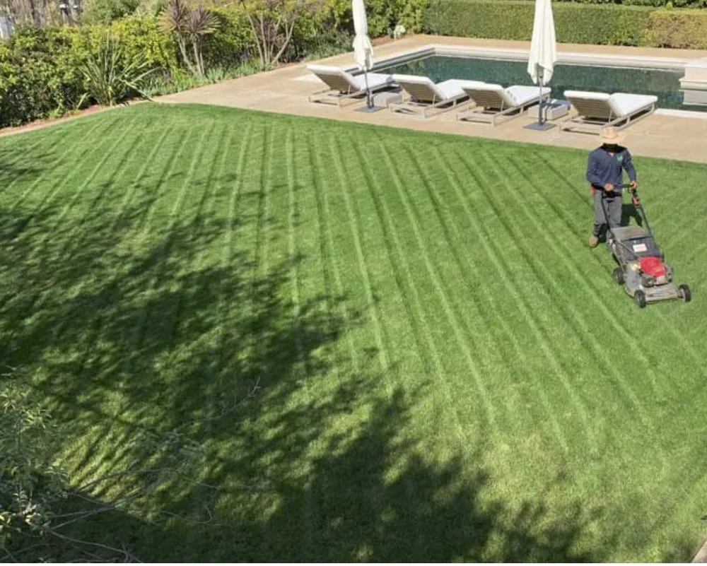 Expert lawn care service in Los Angeles, CA - Villalpando Landscaping
