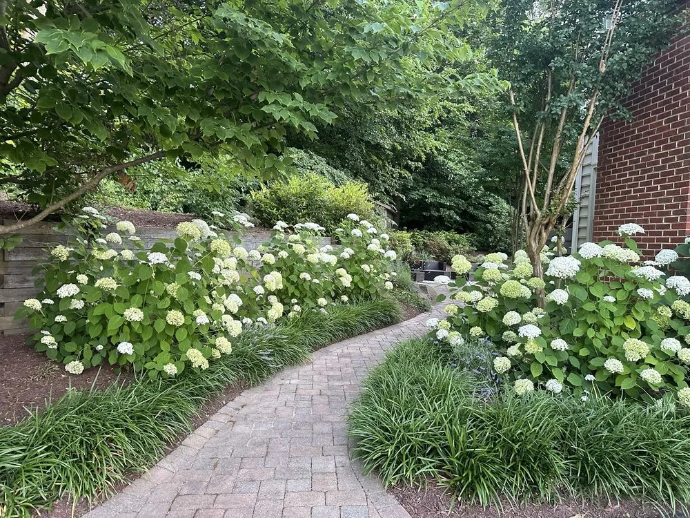 Reliable lawn care service experts serving Tracys Landing, MD - Villalta's Landscape Services