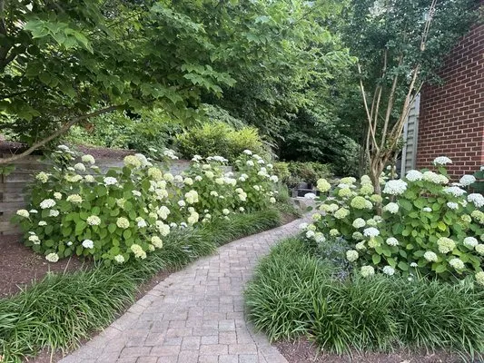 Villalta's Landscape Services