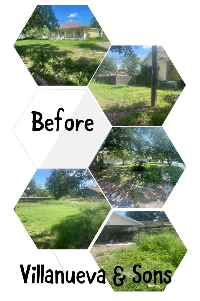 Trusted residential landscaping experts serving Beeville, TX - Villanueva & Sons