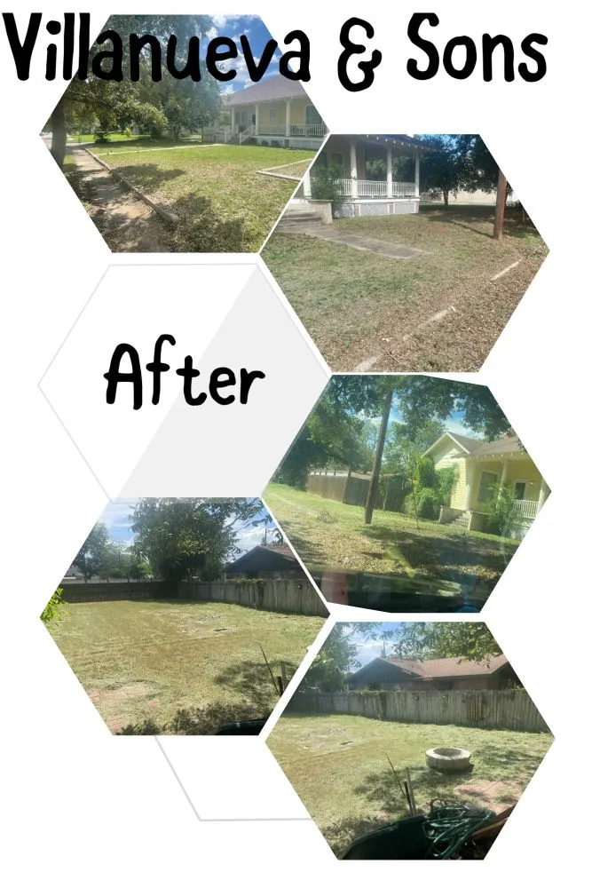 Expert residential landscaping in Beeville, TX - Villanueva & Sons