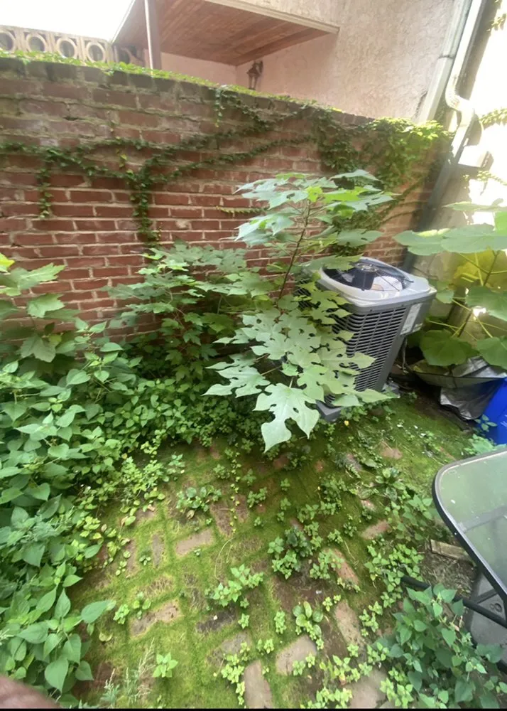 Professional lawn care service in Conshohocken, PA - Villanueva Landscaping