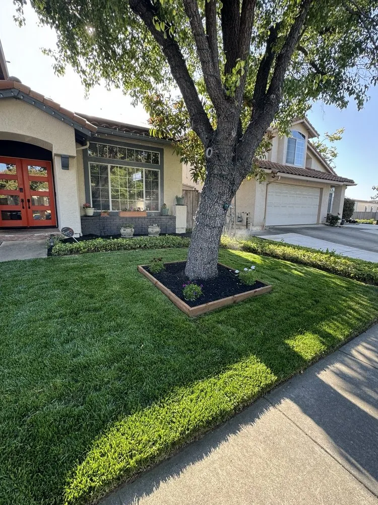 Professional landscaping services with custom design across Tracy, CA - Villanueva Landscaping