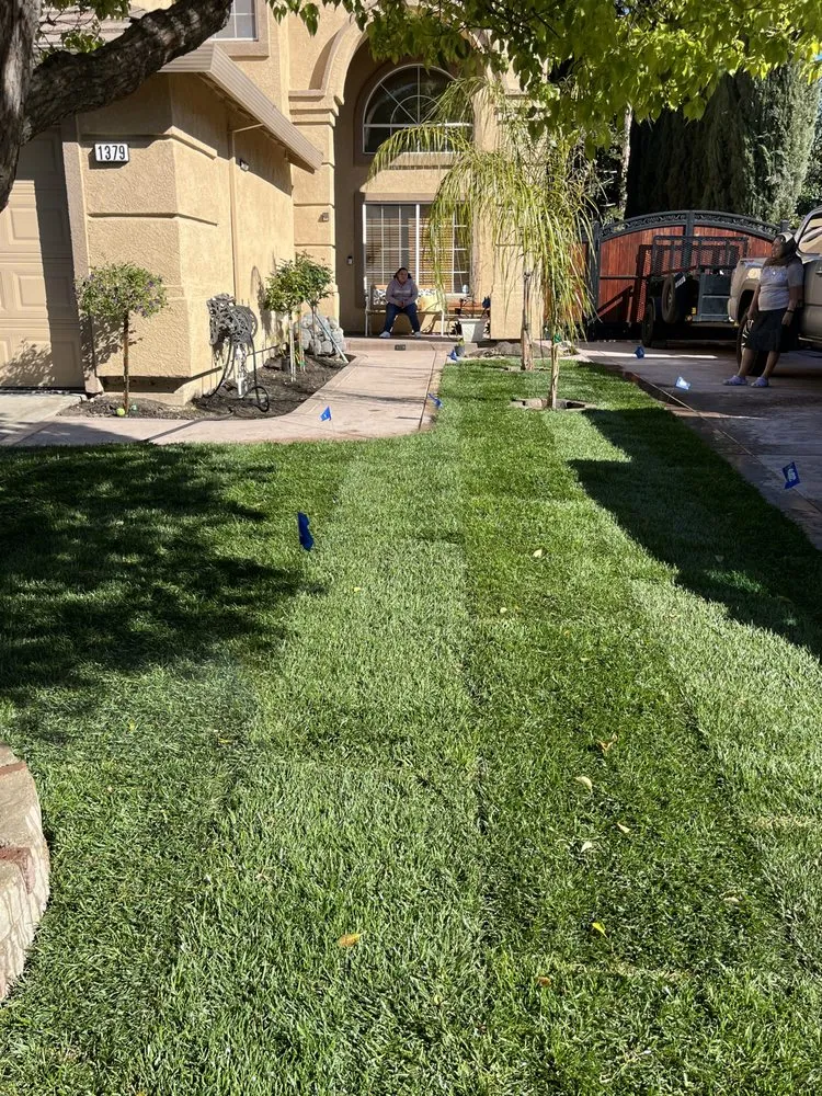Local garden landscaping experts serving Tracy, CA - Villanueva Landscaping