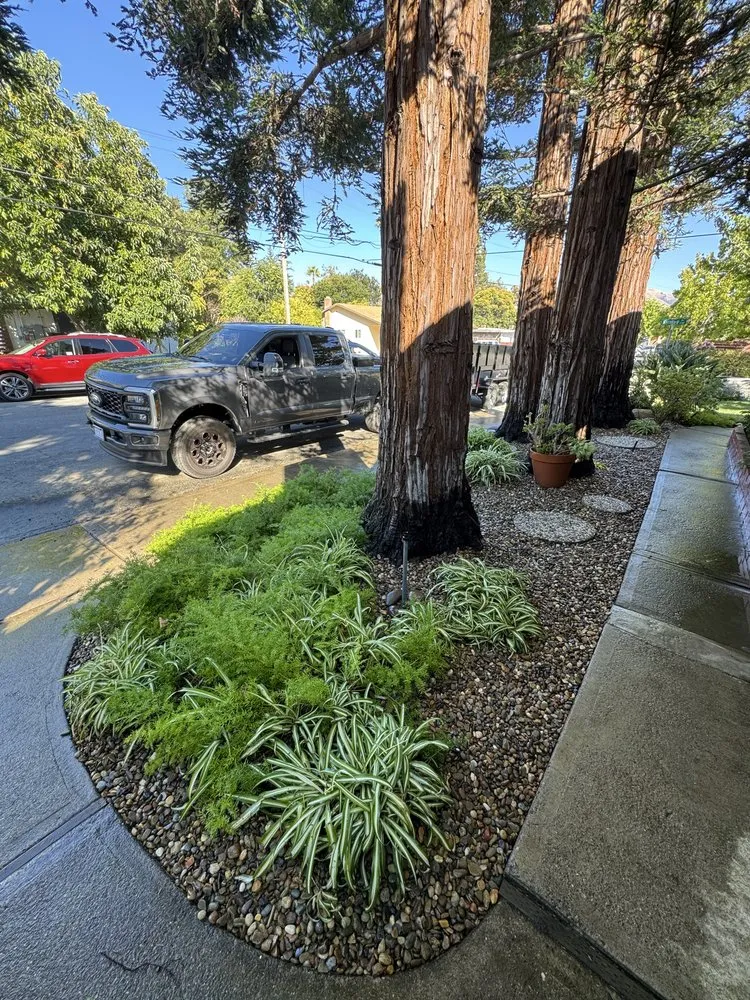 Trusted yard maintenance for homes in Tracy, CA by Villanueva Landscaping