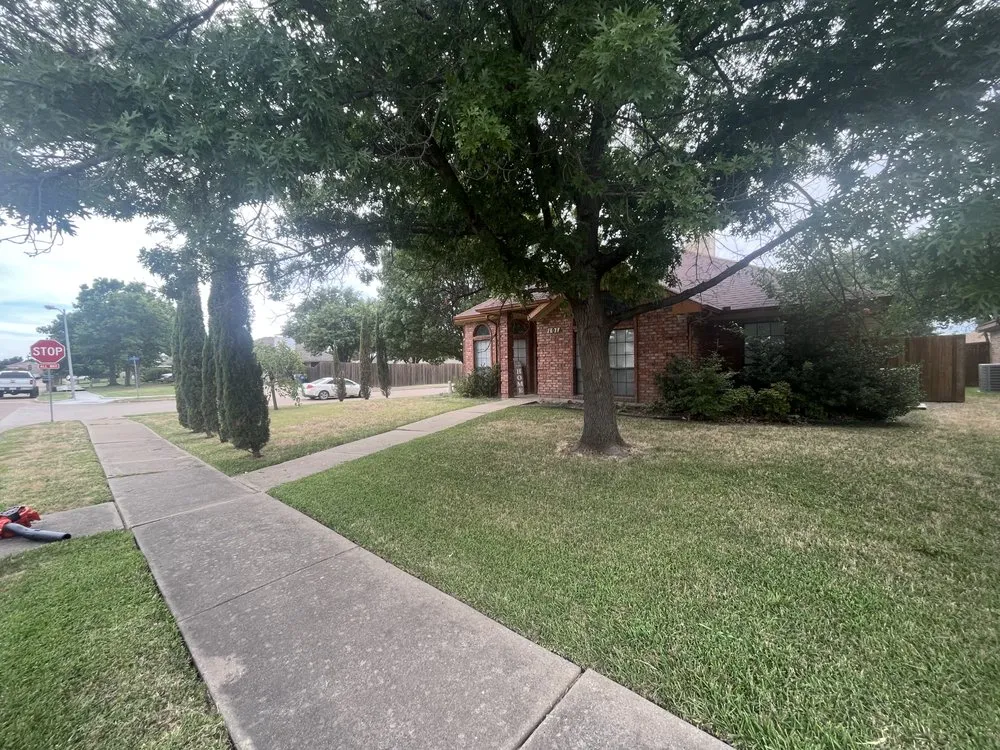 Reliable yard cleanup service in Rowlett, TX by Villanueva Lawn Services