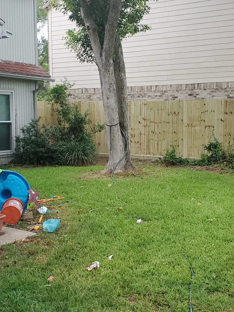 Trusted yard maintenance in Pasadena, TX - Villanueva Tree & Landscape Services