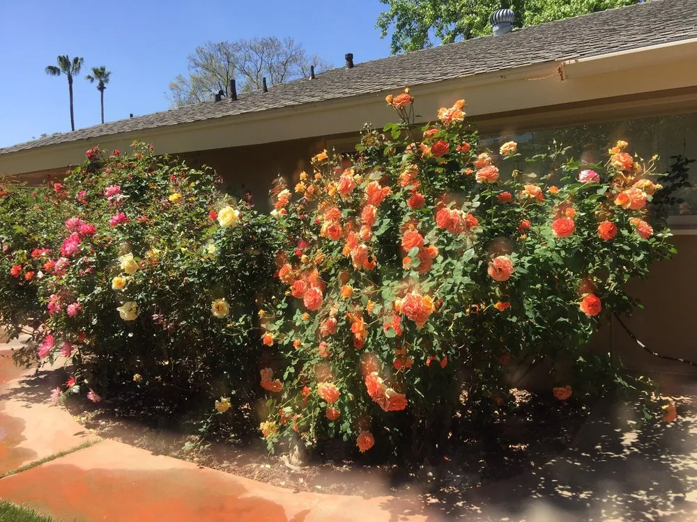 Professional residential landscaping near you across El Cajon, CA - Villanuevas Landscape