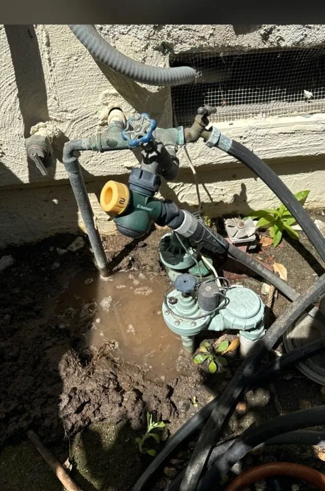 Trusted lawn care service near you in El Cajon, CA by Villanuevas Landscape