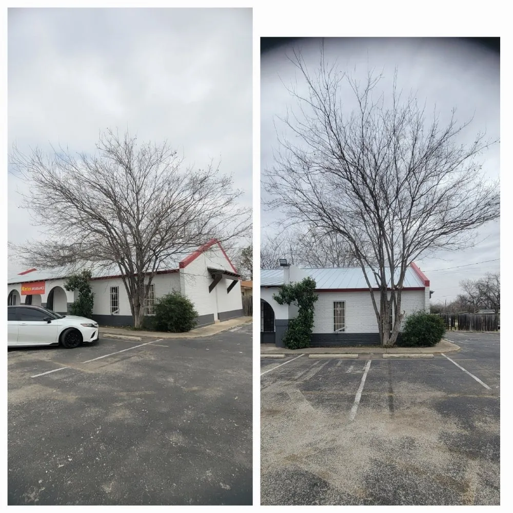 Professional lawn care service experts serving Poteet, TX - Villarreal Family LawnCare