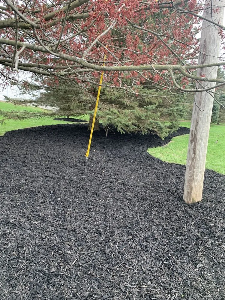 Top-rated landscaping services for beautiful yards across Ada, MI - Villarreal Outdoor Services