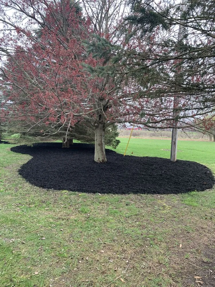 Top-rated lawn care service in Ada, MI by Villarreal Outdoor Services