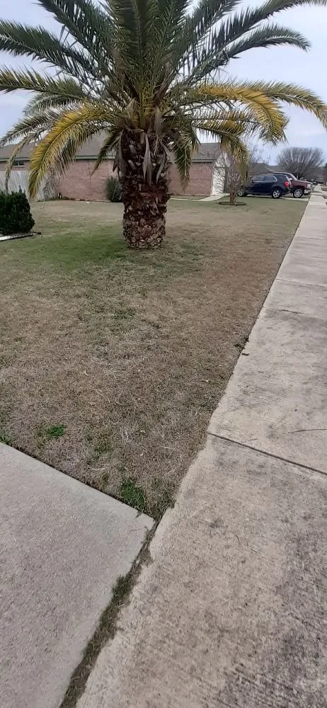 Expert landscaping services for residential properties across Salado, TX - Villarreal's lawn services