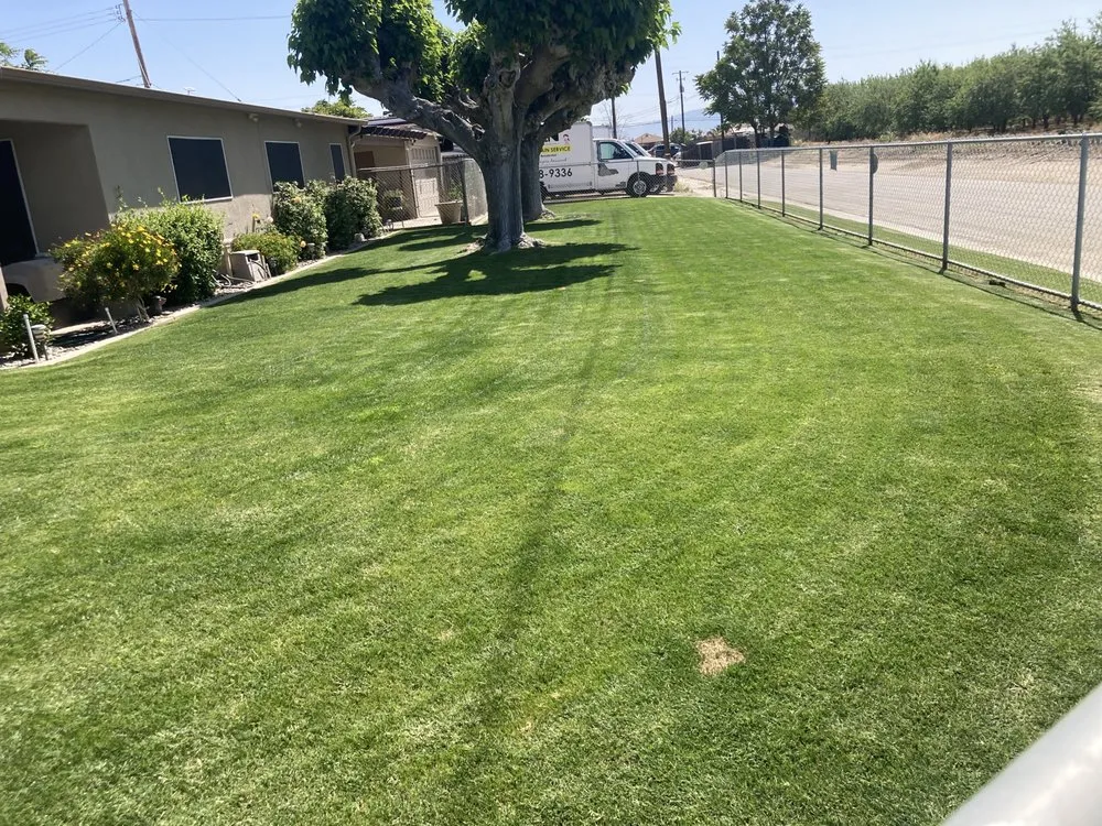 Expert residential landscaping in Bakersfield, CA by Villa's Gardening